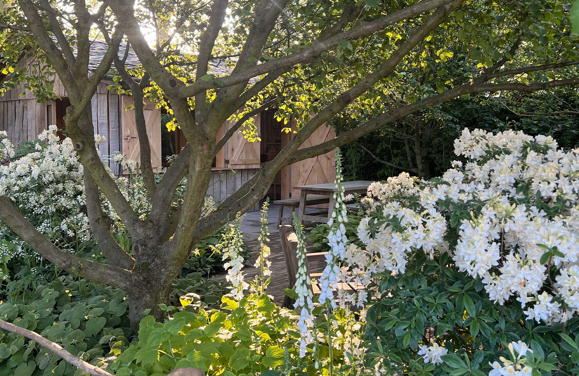 Sophie Allport's Chelsea Flower Show Memorabilia Supports the Royal Ho