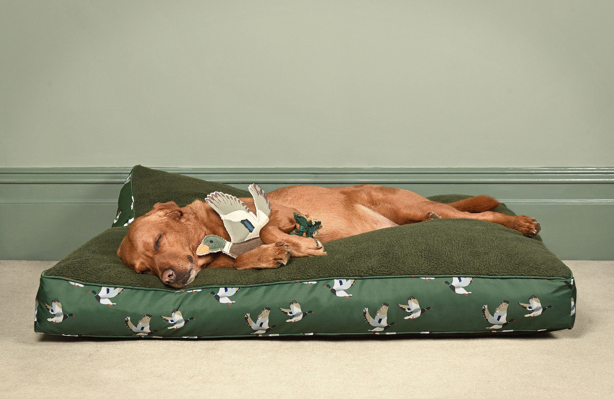 Sophie allport 2025 dog blanket