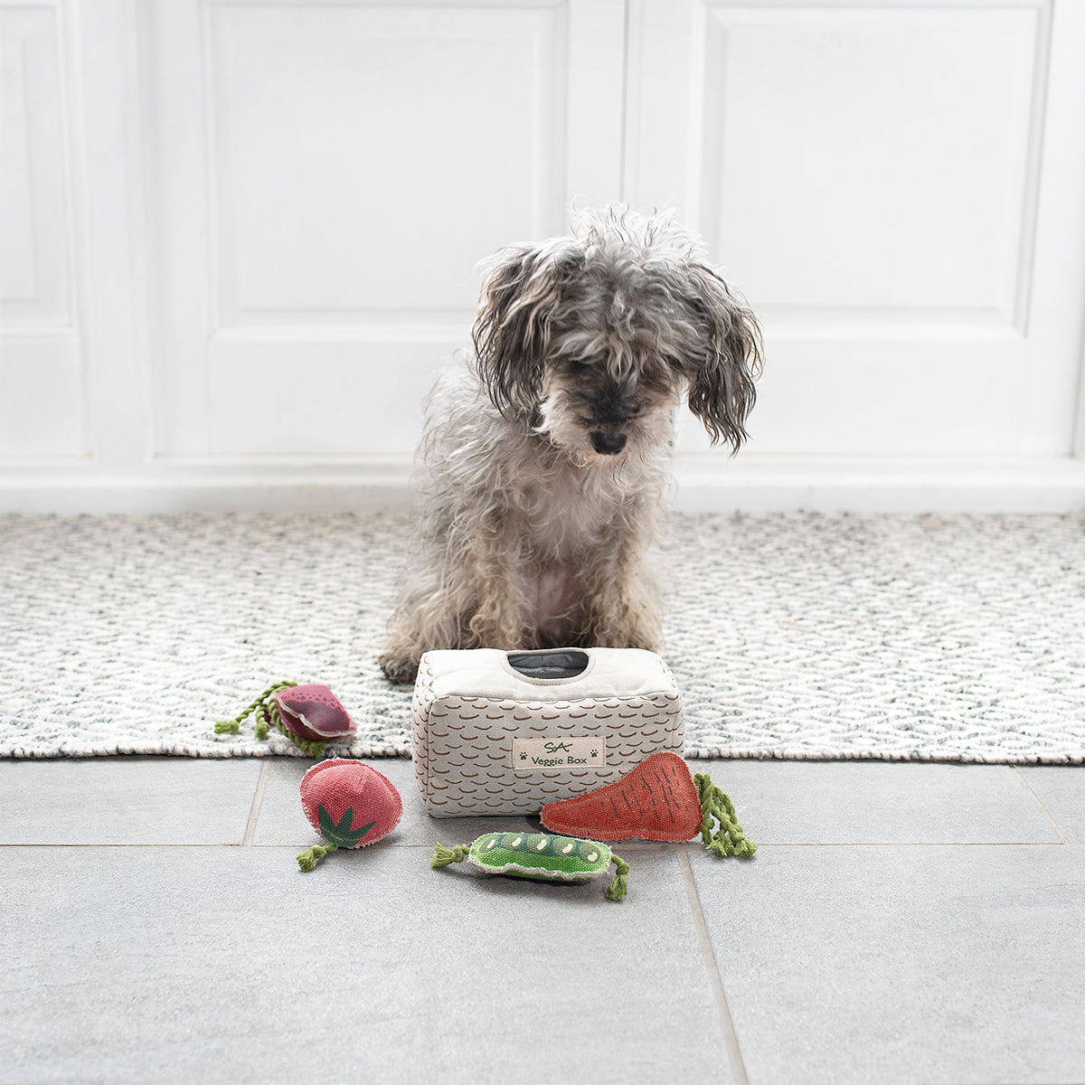 Worthy Dog, Carrot Toy, Small - Alsip Home & Nursery