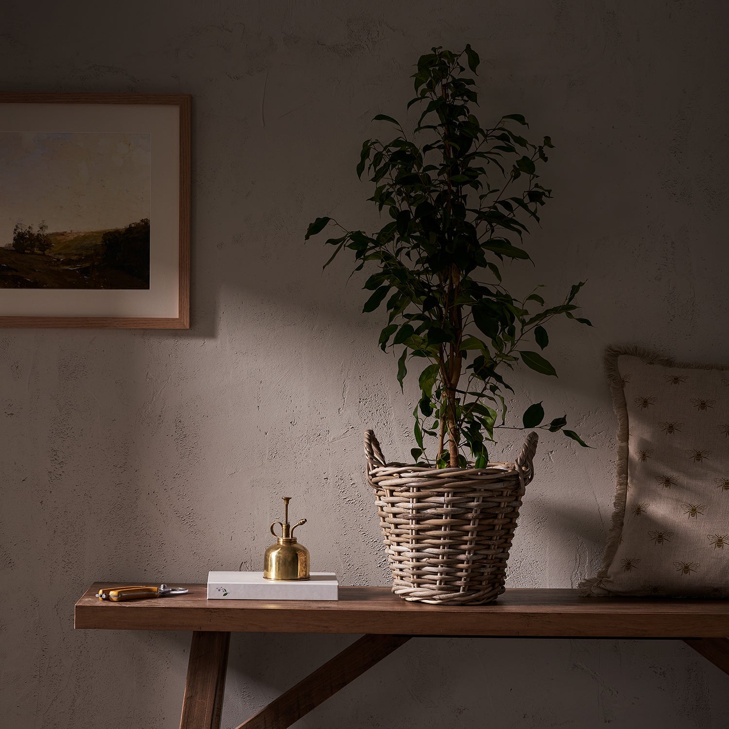 Split Rattan Planter by Sophie Allport