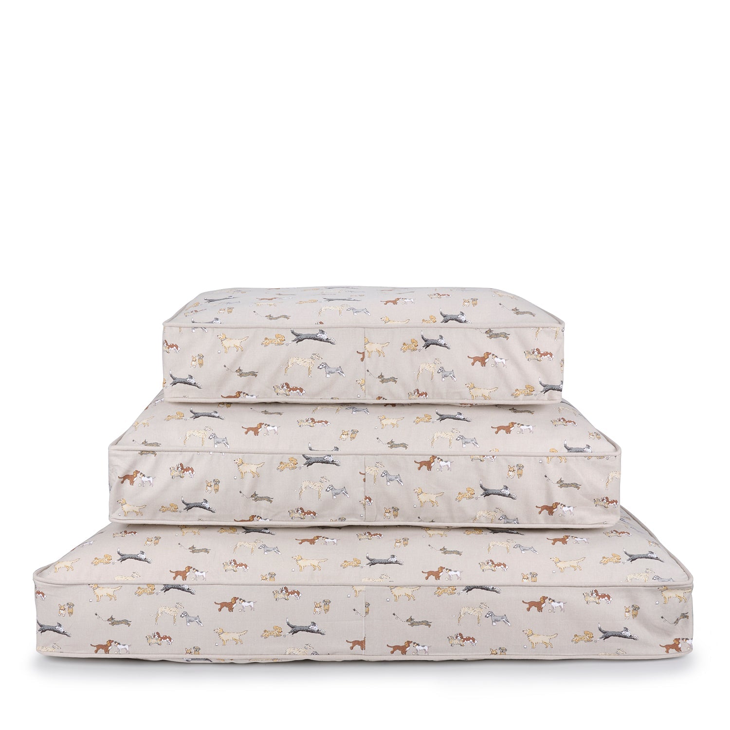 Doggy Daycare Pet Mattress by Sophie Allport