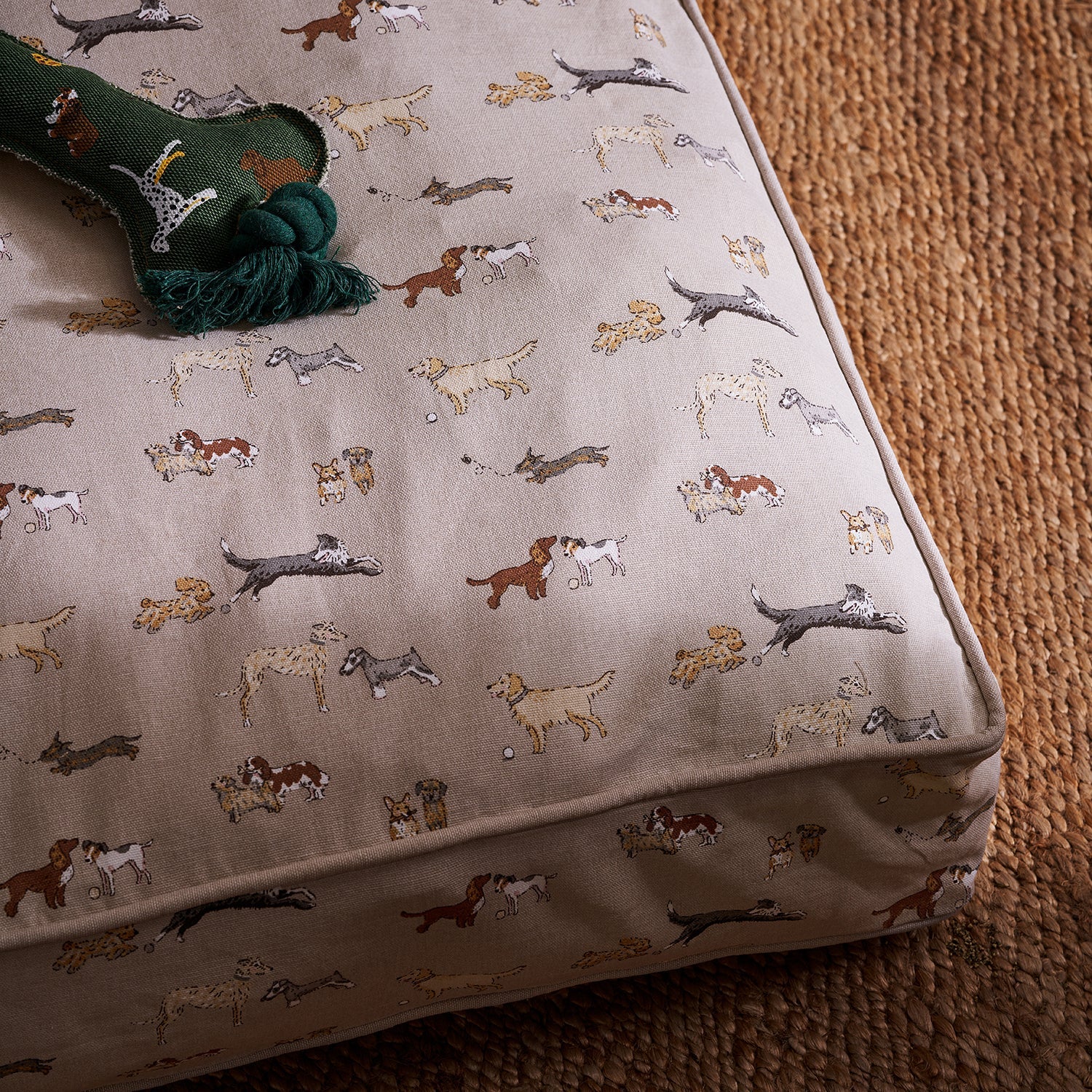 Doggy Daycare Pet Mattress by Sophie Allport