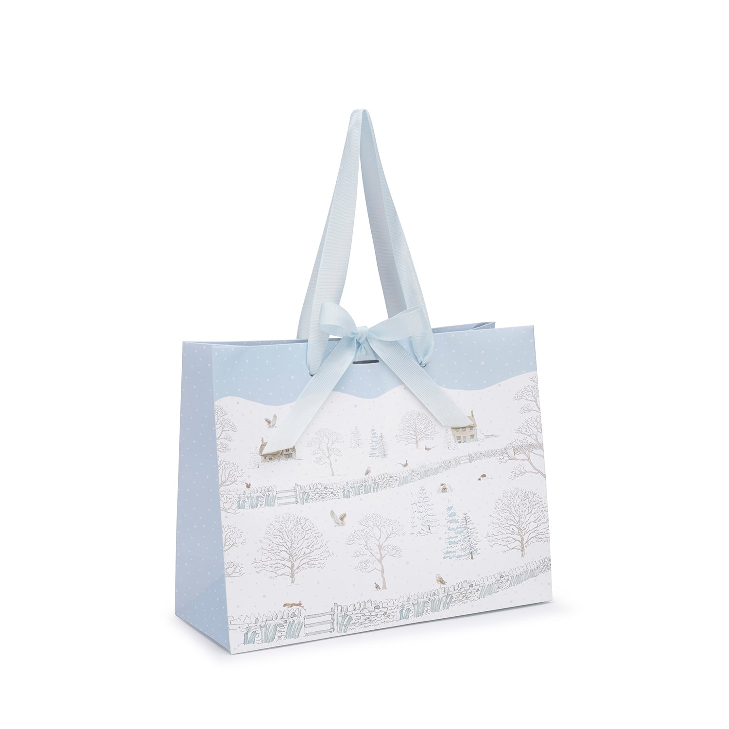 Snowy Cottage Gift Bag