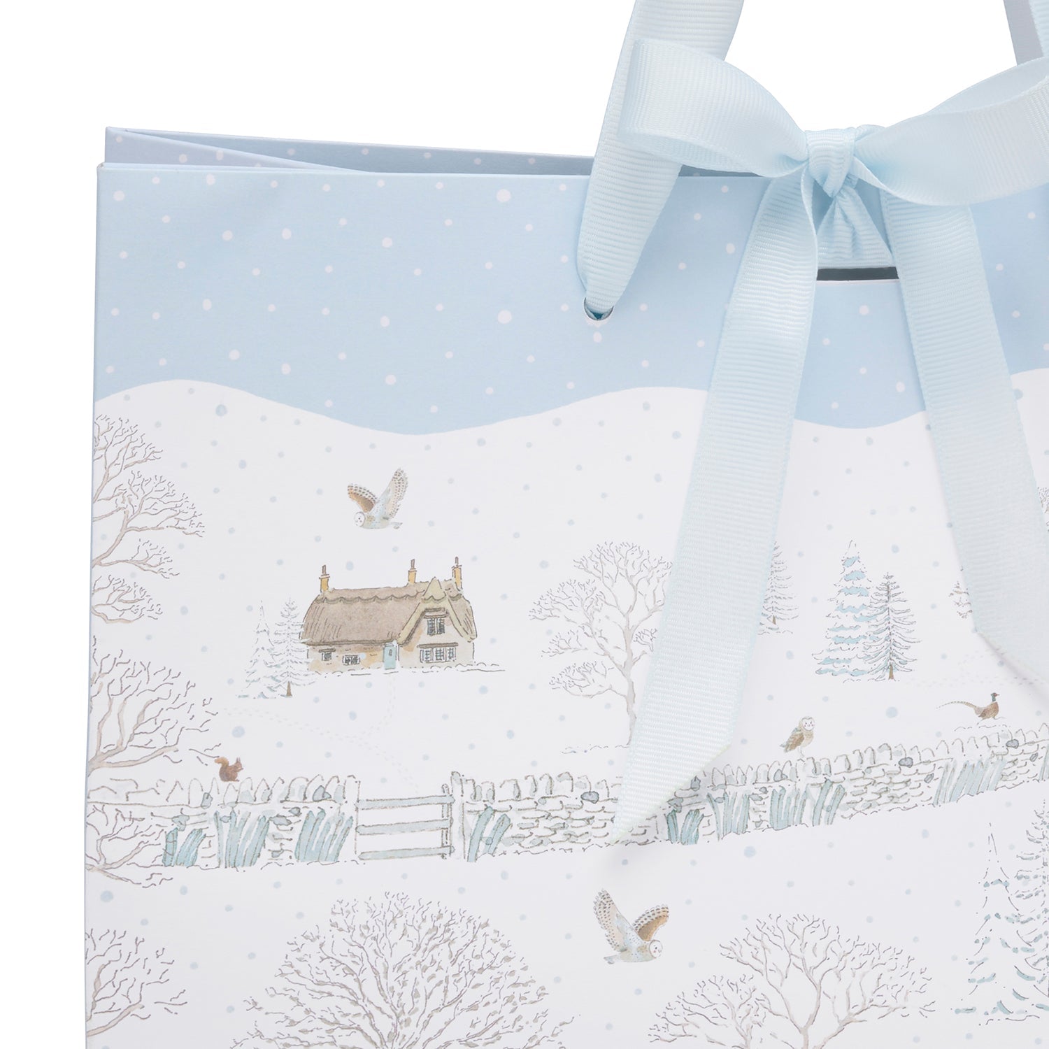 Snowy Cottage Gift Bag by Sophie Allport