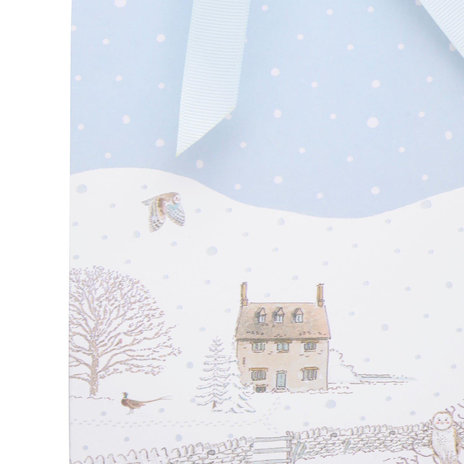 Snowy Cottage Bottle Gift Bag by Sophie Allport