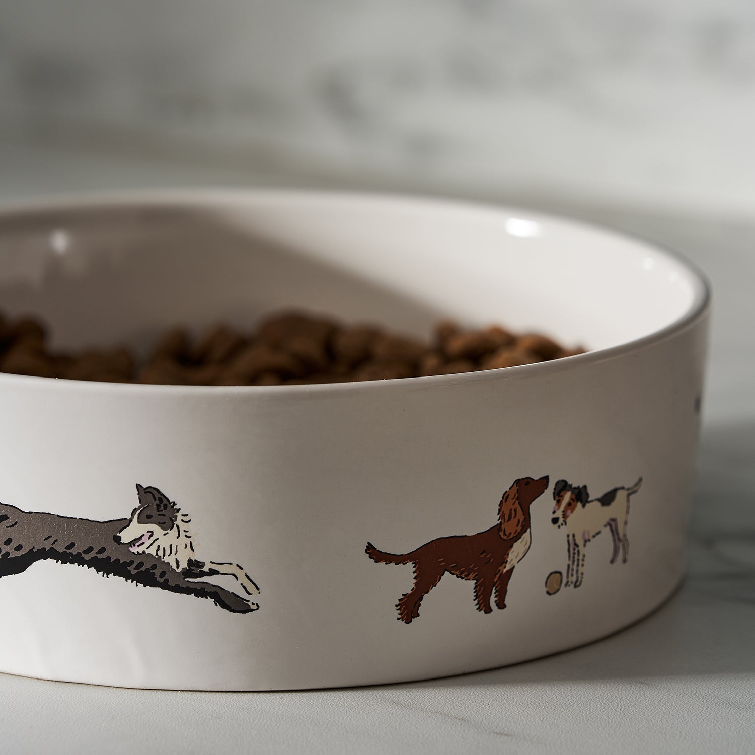 Doggy Daycare Stoneware Dog Bowl by Sophie Allport