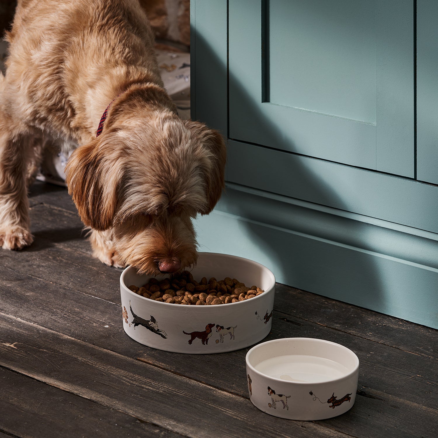 Doggy Daycare Stoneware Dog Bowl by Sophie Allport