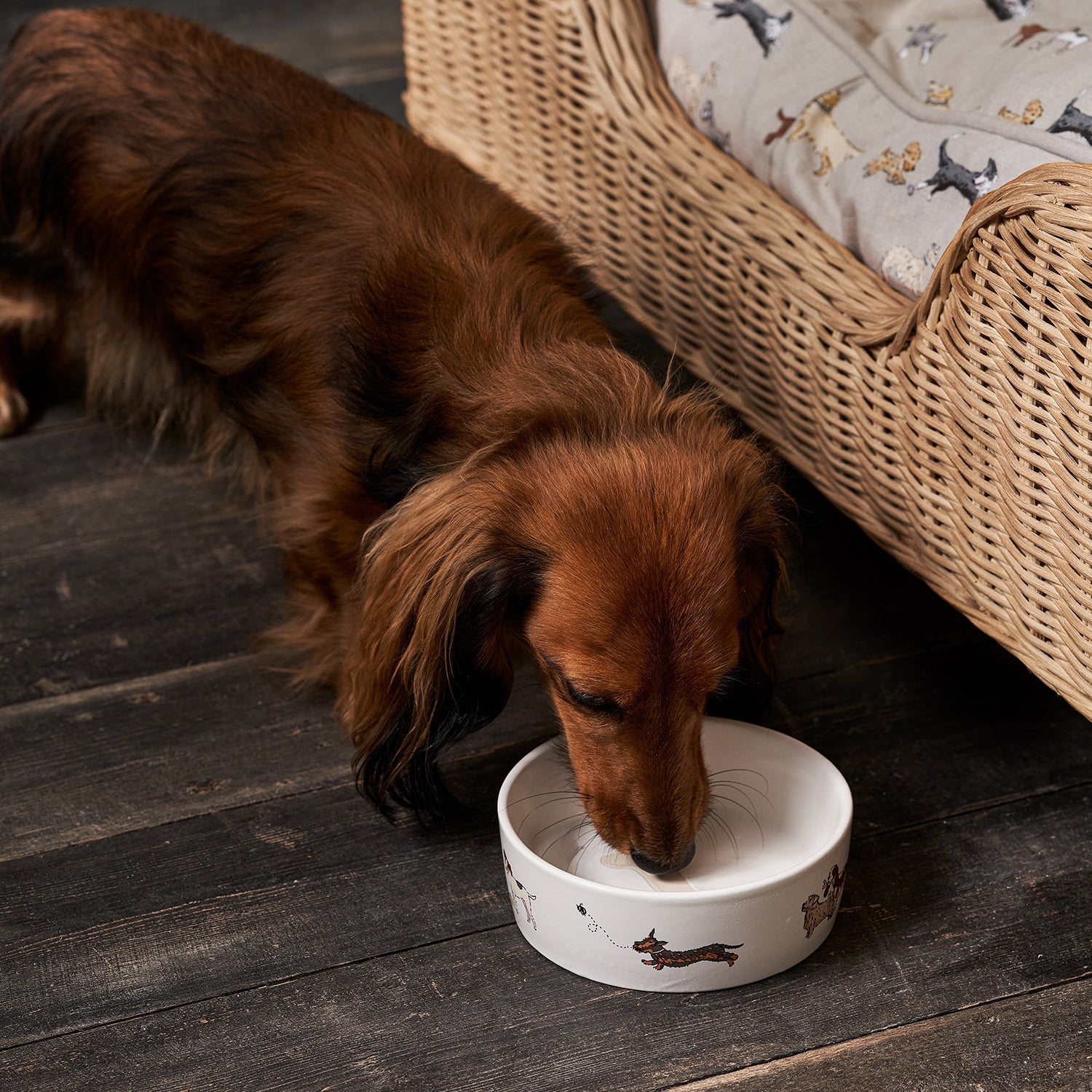 Doggy Daycare Stoneware Dog Bowl by Sophie Allport