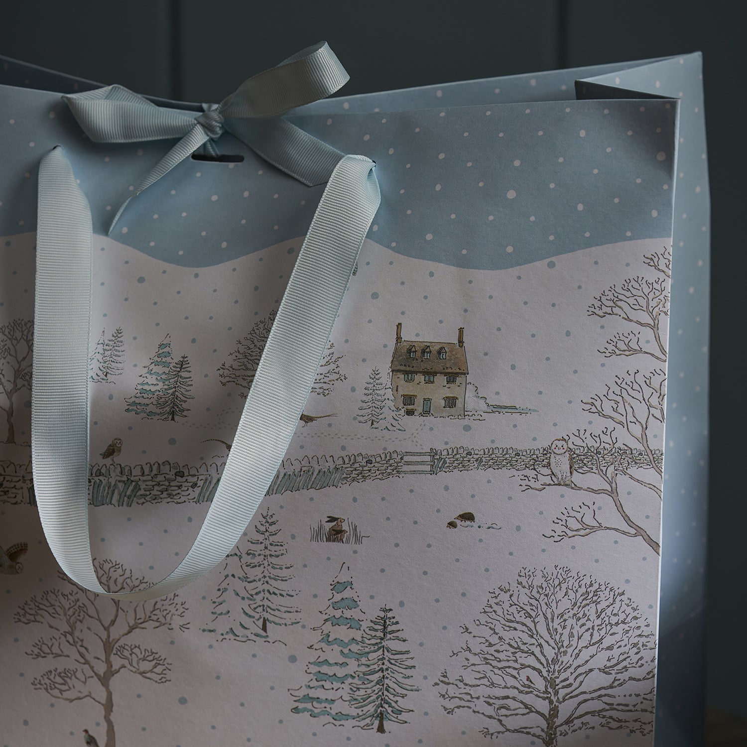 Snowy Cottage Gift Bag by Sophie Allport