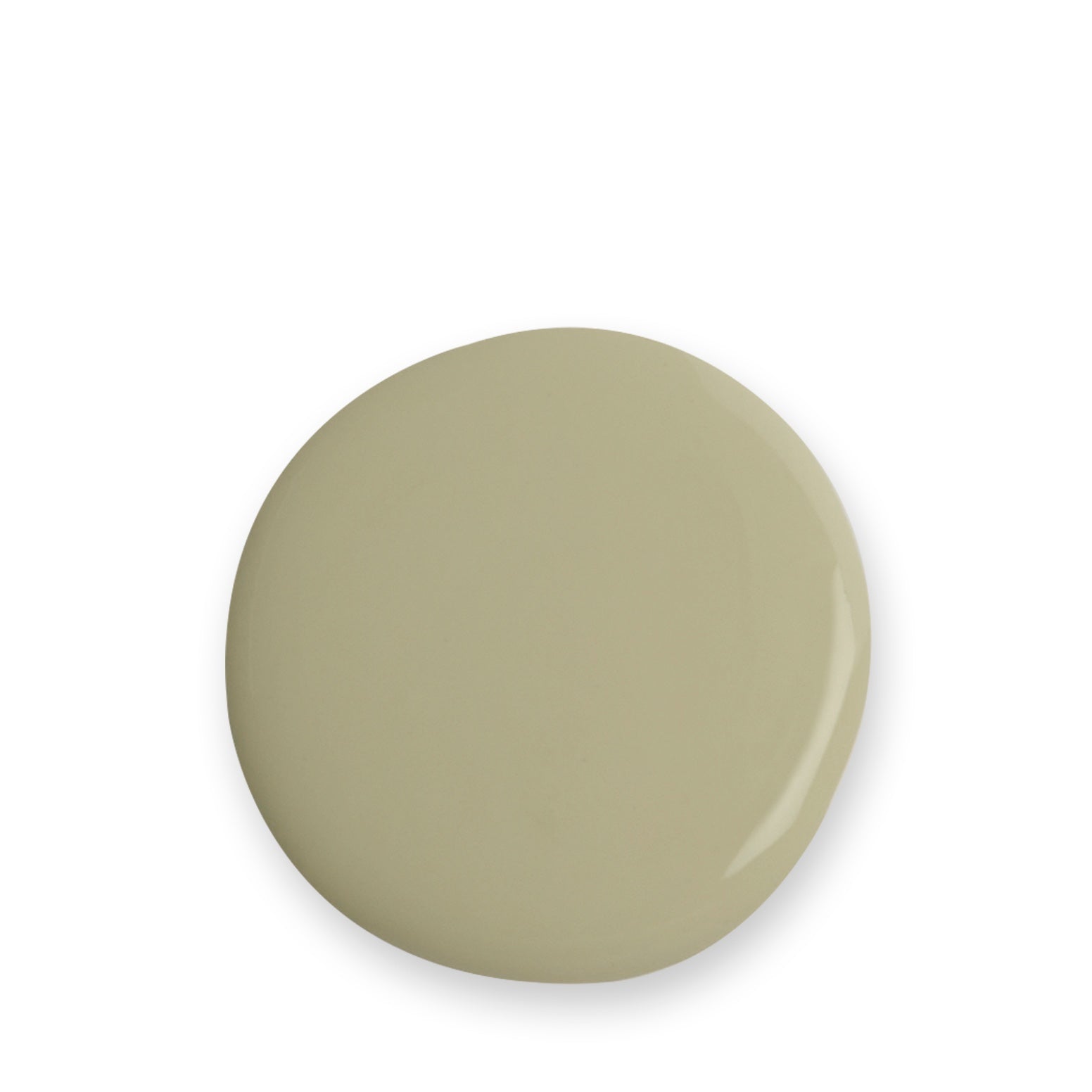 Sage green paint by Sophie Allport swatch