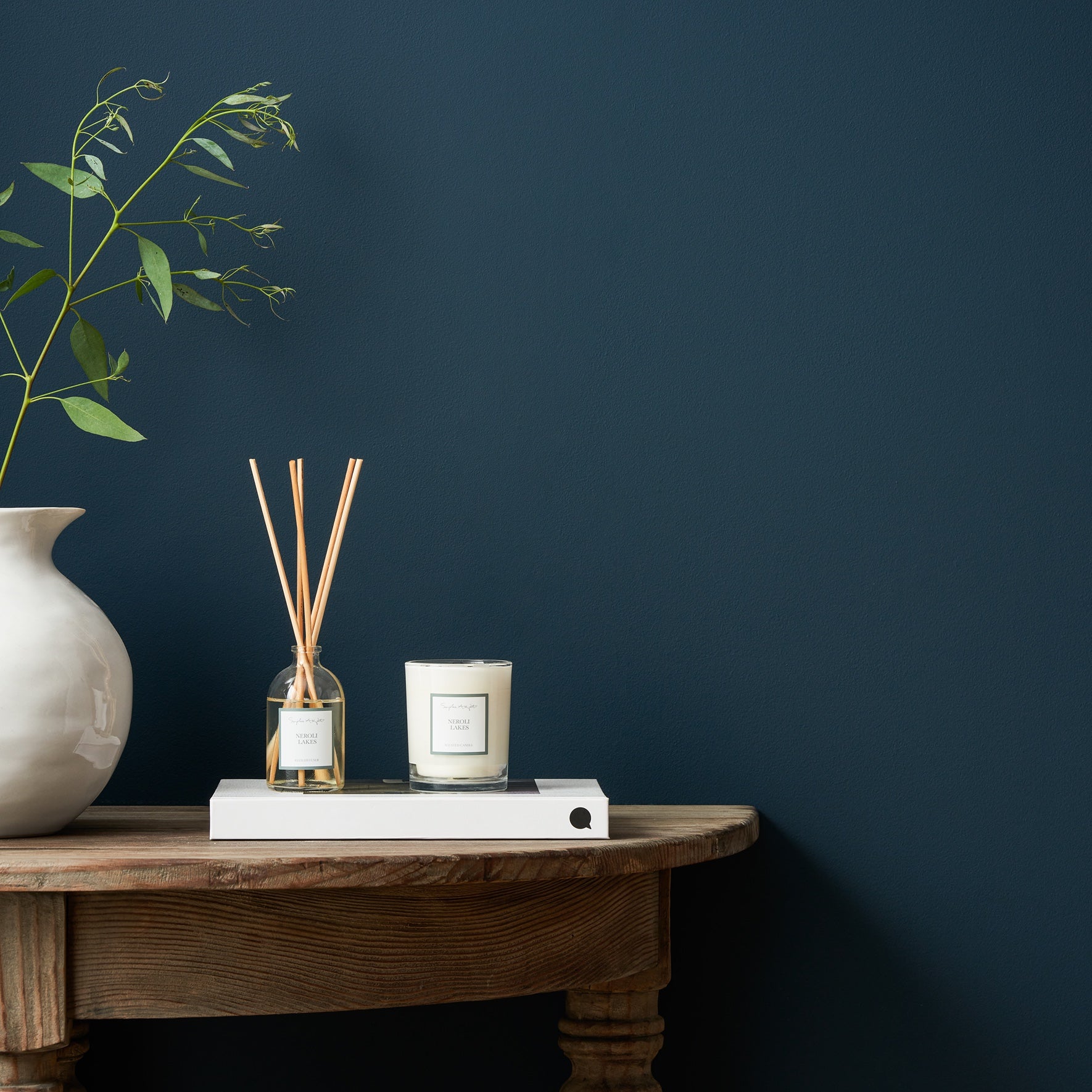 Navy teal paint by Sophie Allport detail