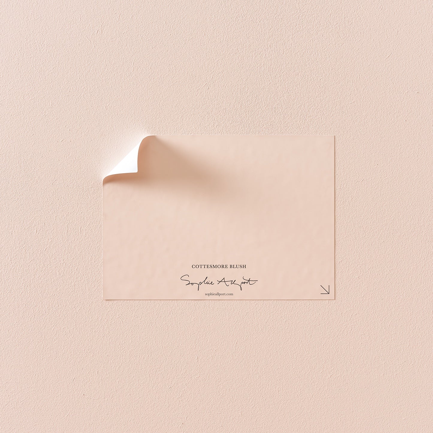 Cottesmore Blush Paint Sample by Sophie Allport