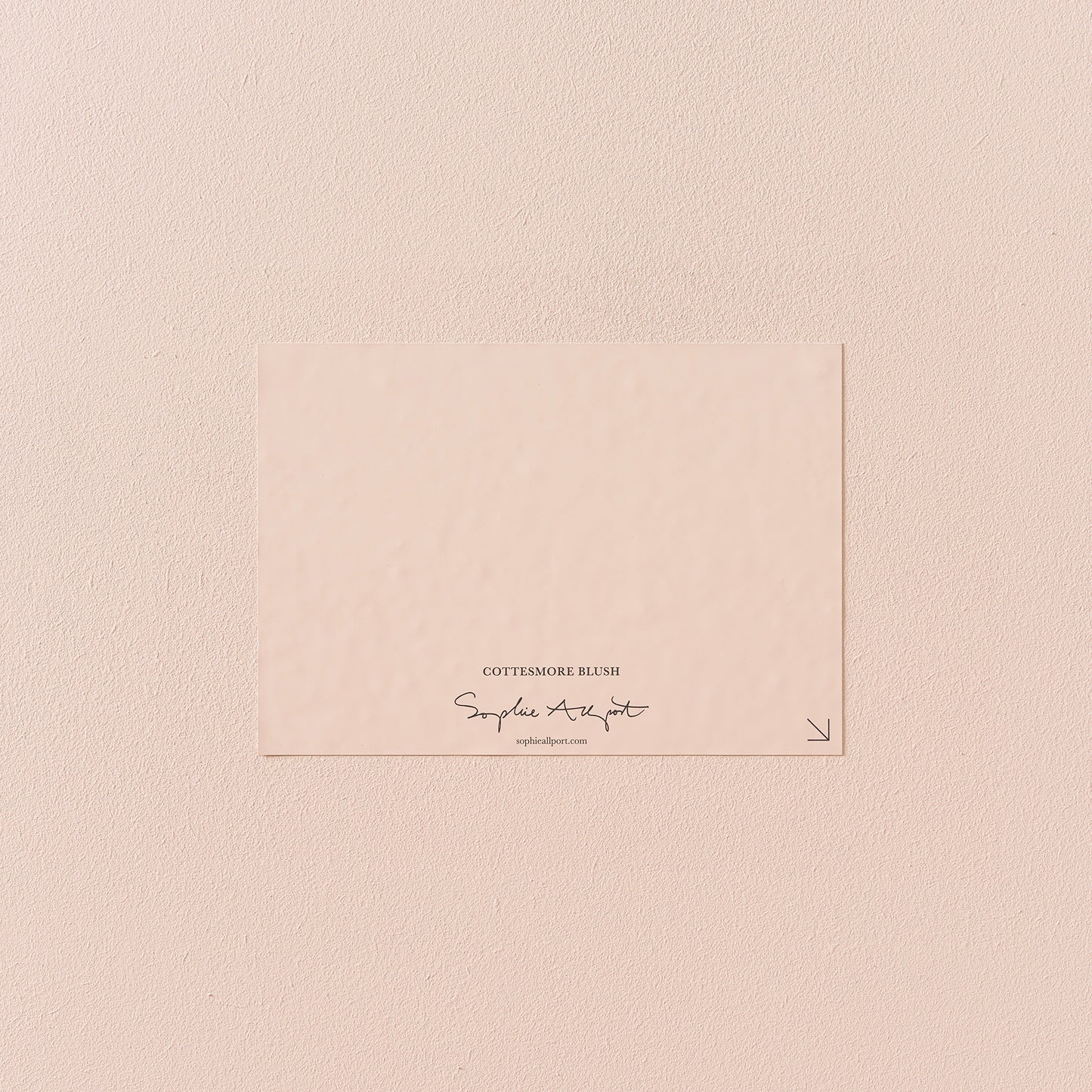 Cottesmore Blush Paint Sample by Sophie Allport