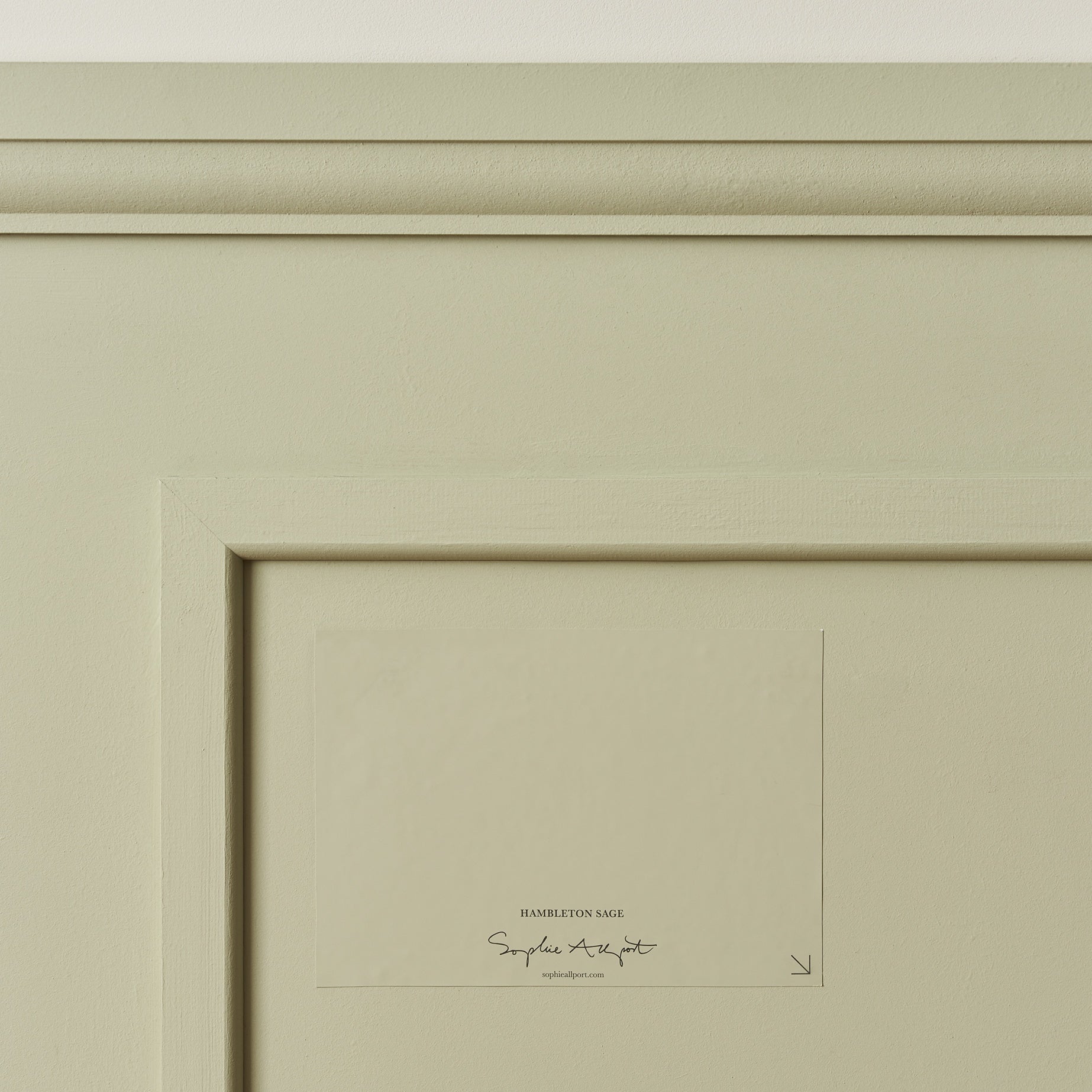 Hambleton Sage Paint Sample by Sophie Allport