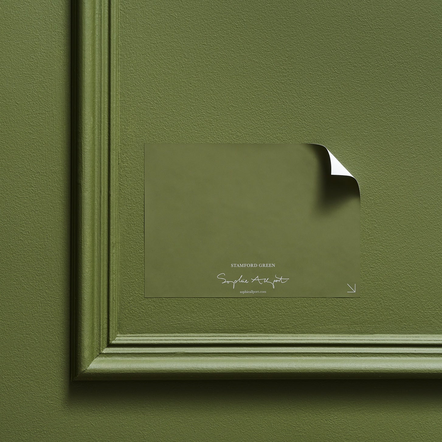 Stamford Green Paint Sample by Sophie Allport