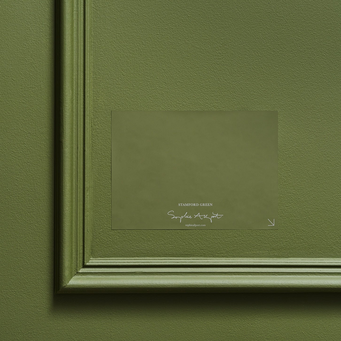 Stamford Green Paint Sample by Sophie Allport