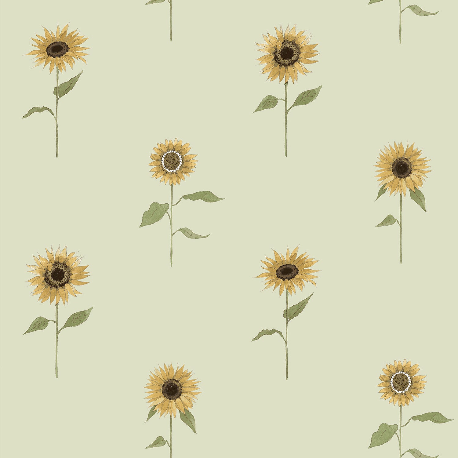 Sunflowers Pale Green Roller Blind Sample