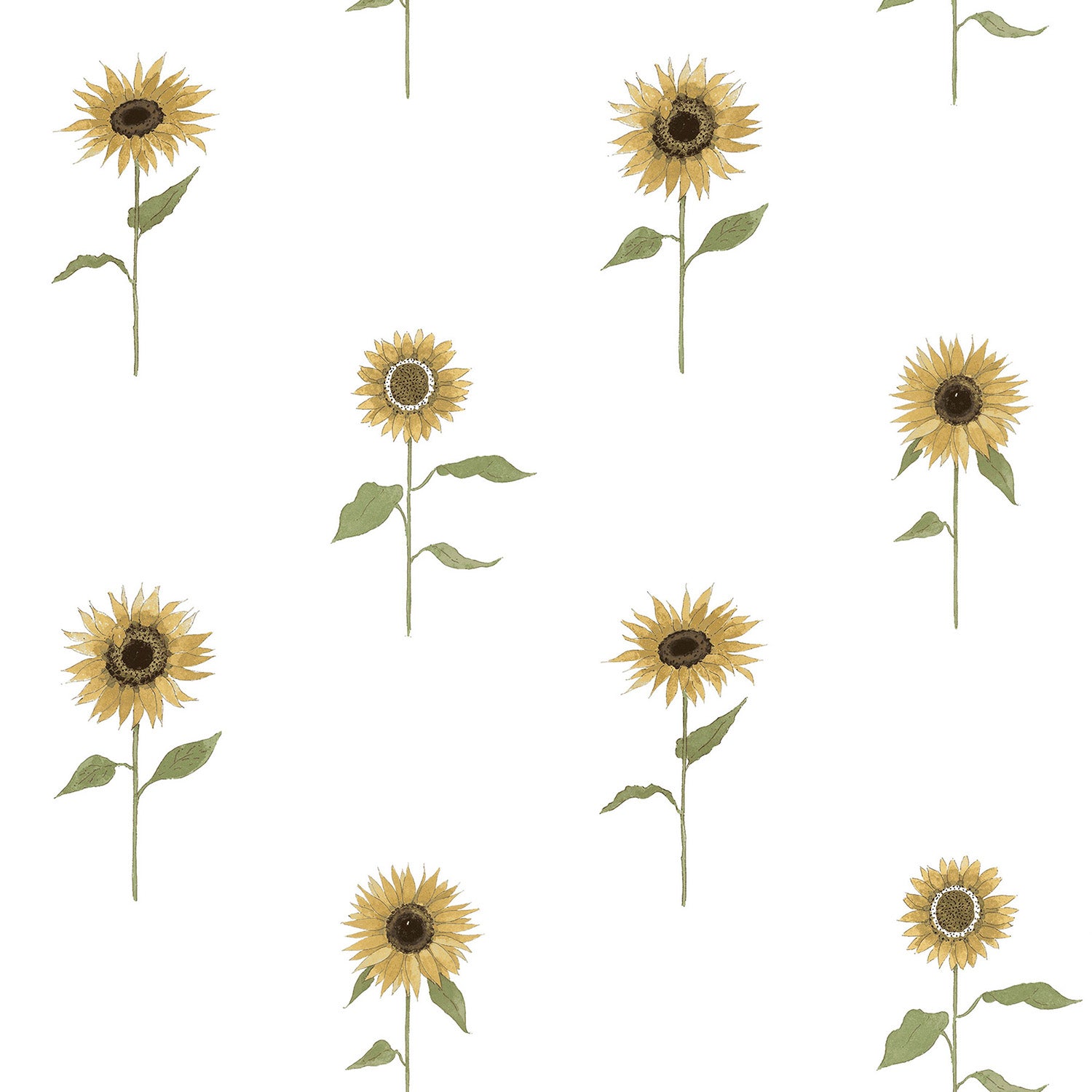 Sunflowers White Roller Blind Sample