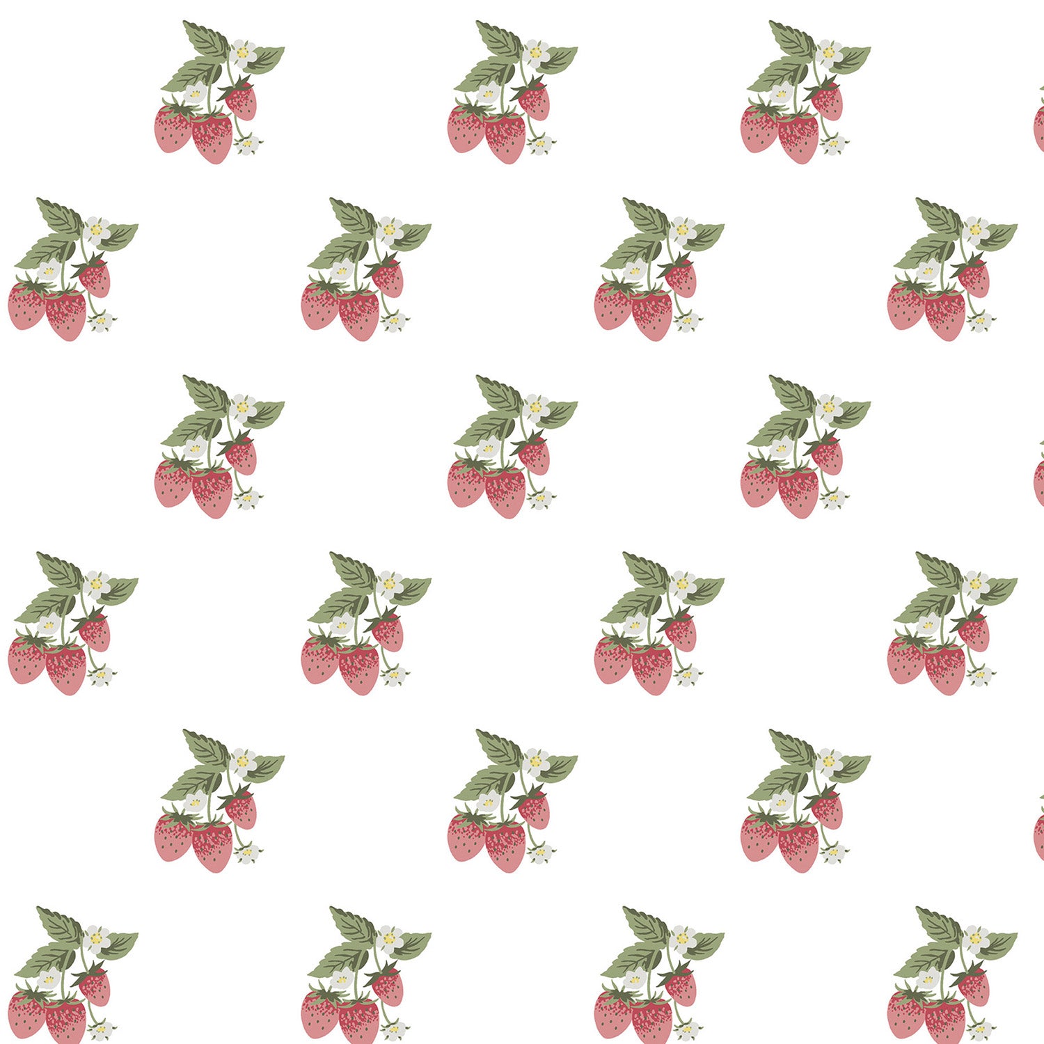 Strawberries White Roller Blind Sample