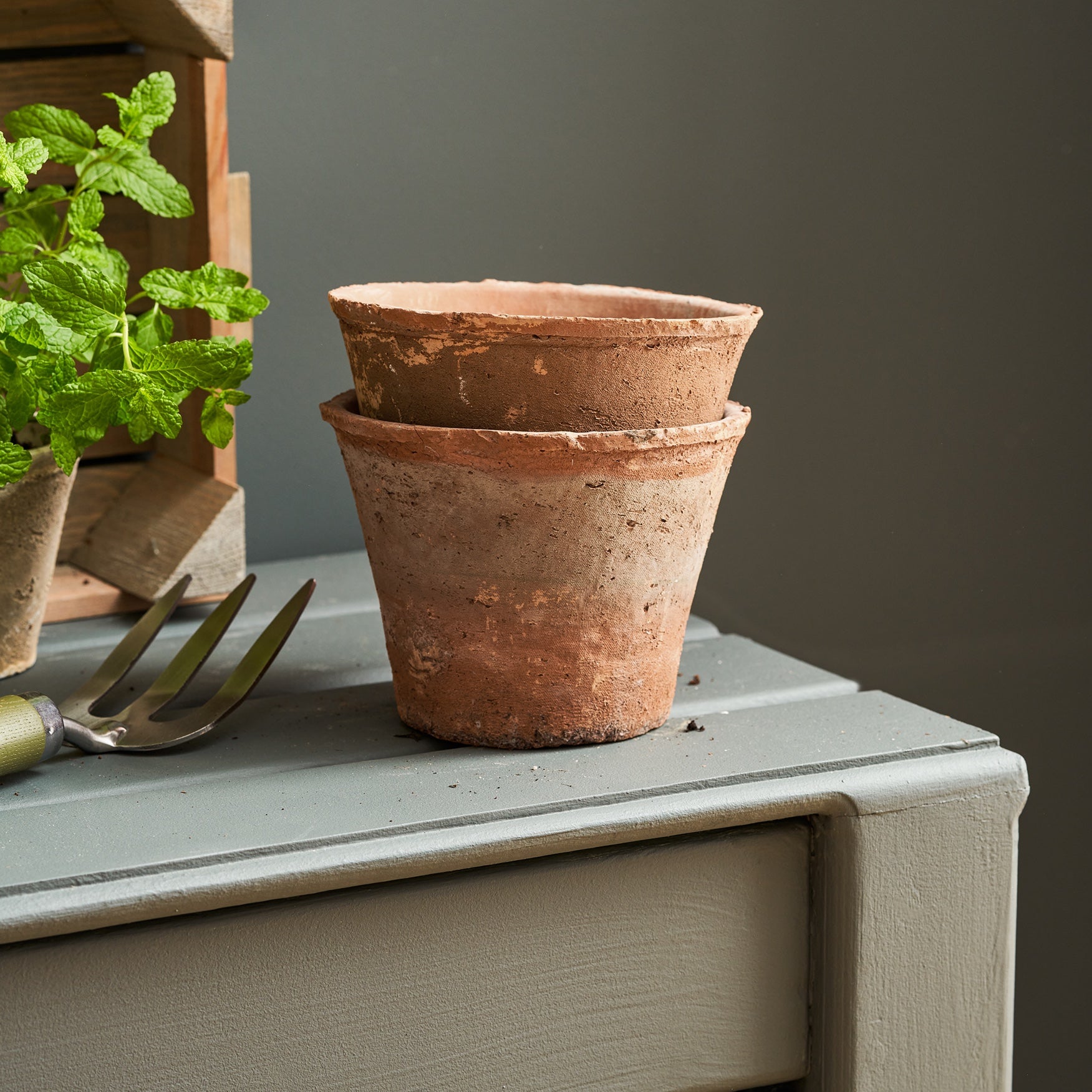 Aged Terracotta Pot