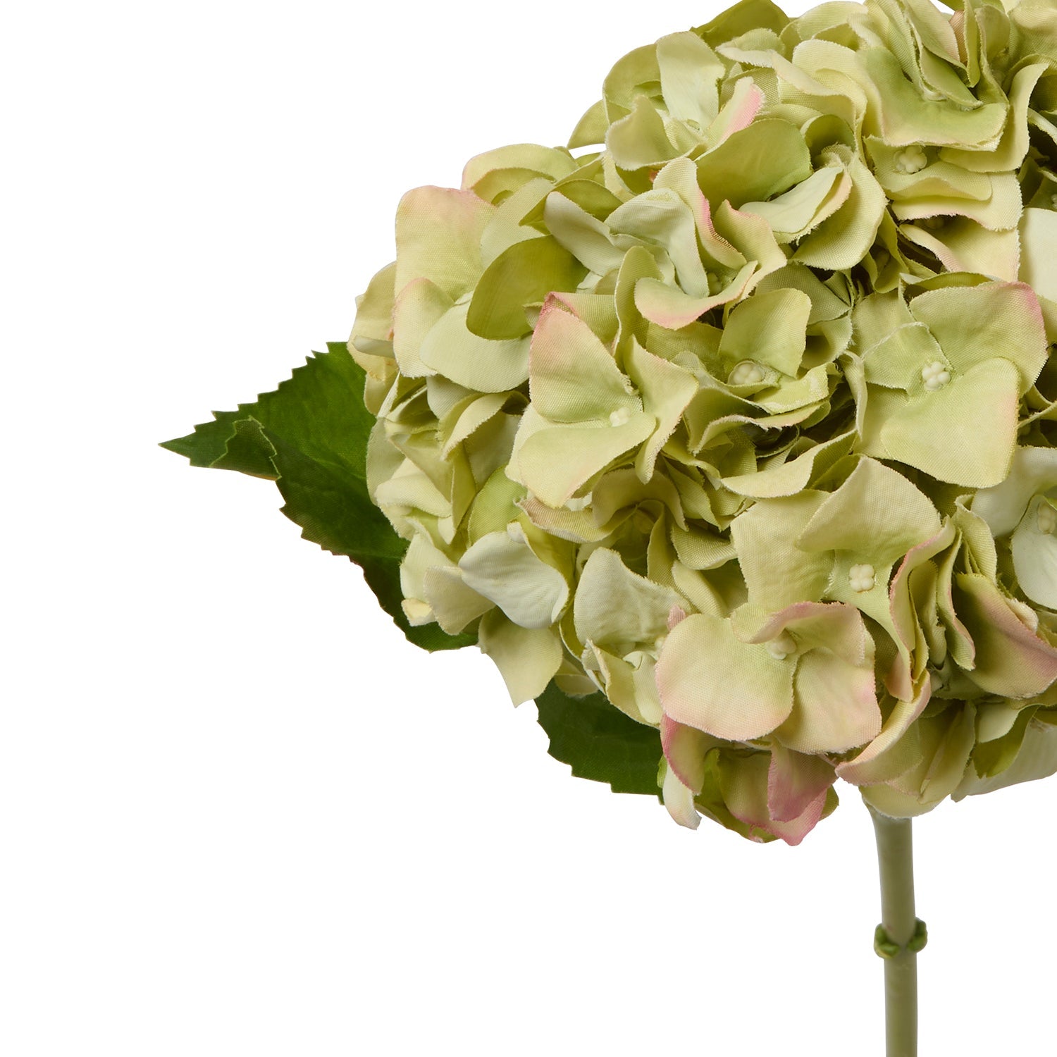 Faux dried green hydrangea by Sophie Allport petal detail