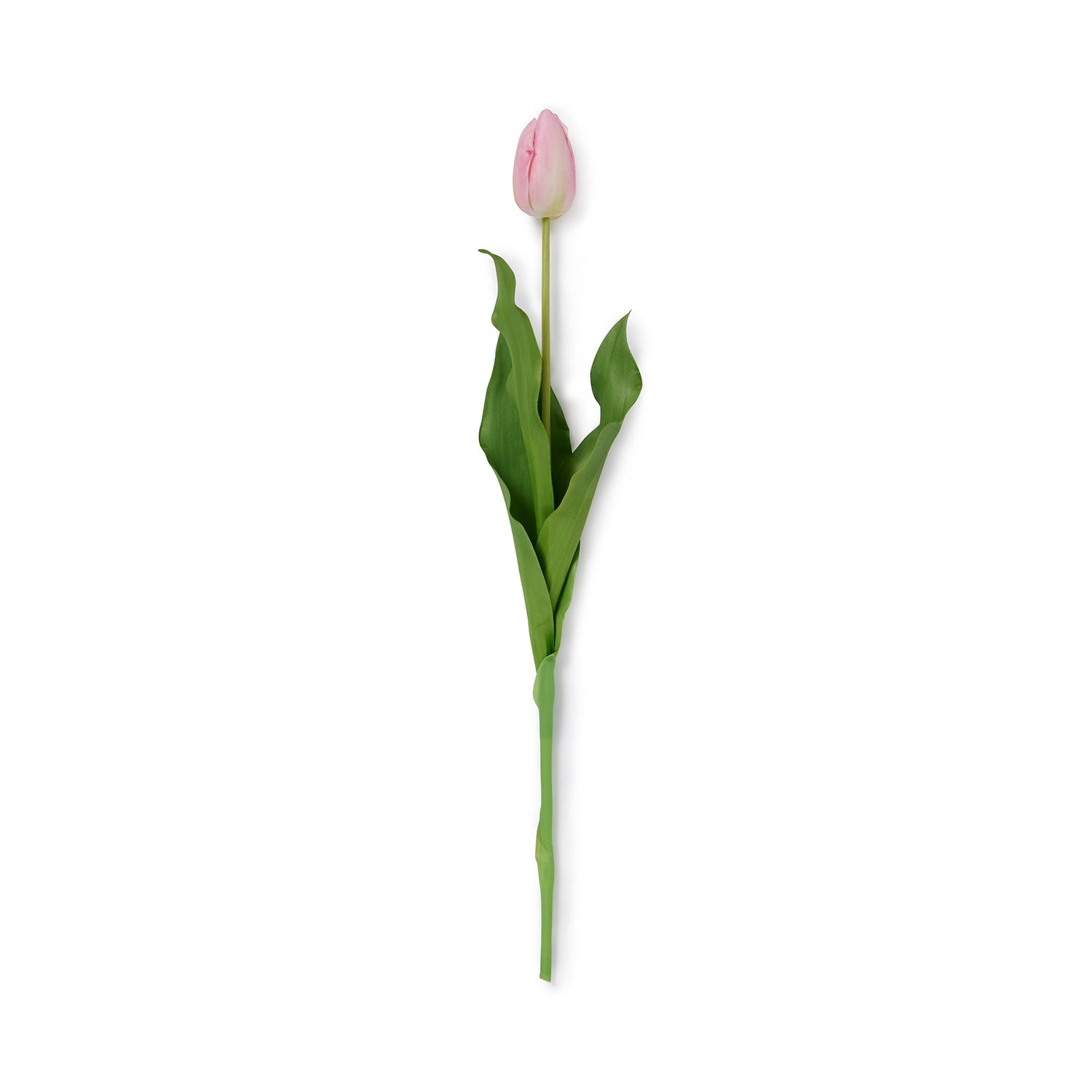 Faux pink tulips by Sophie Allport front