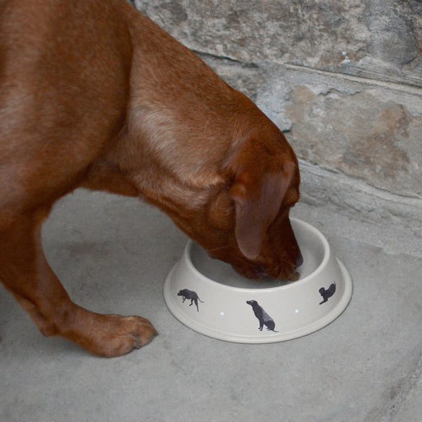 Sophie allport store dog treat tin