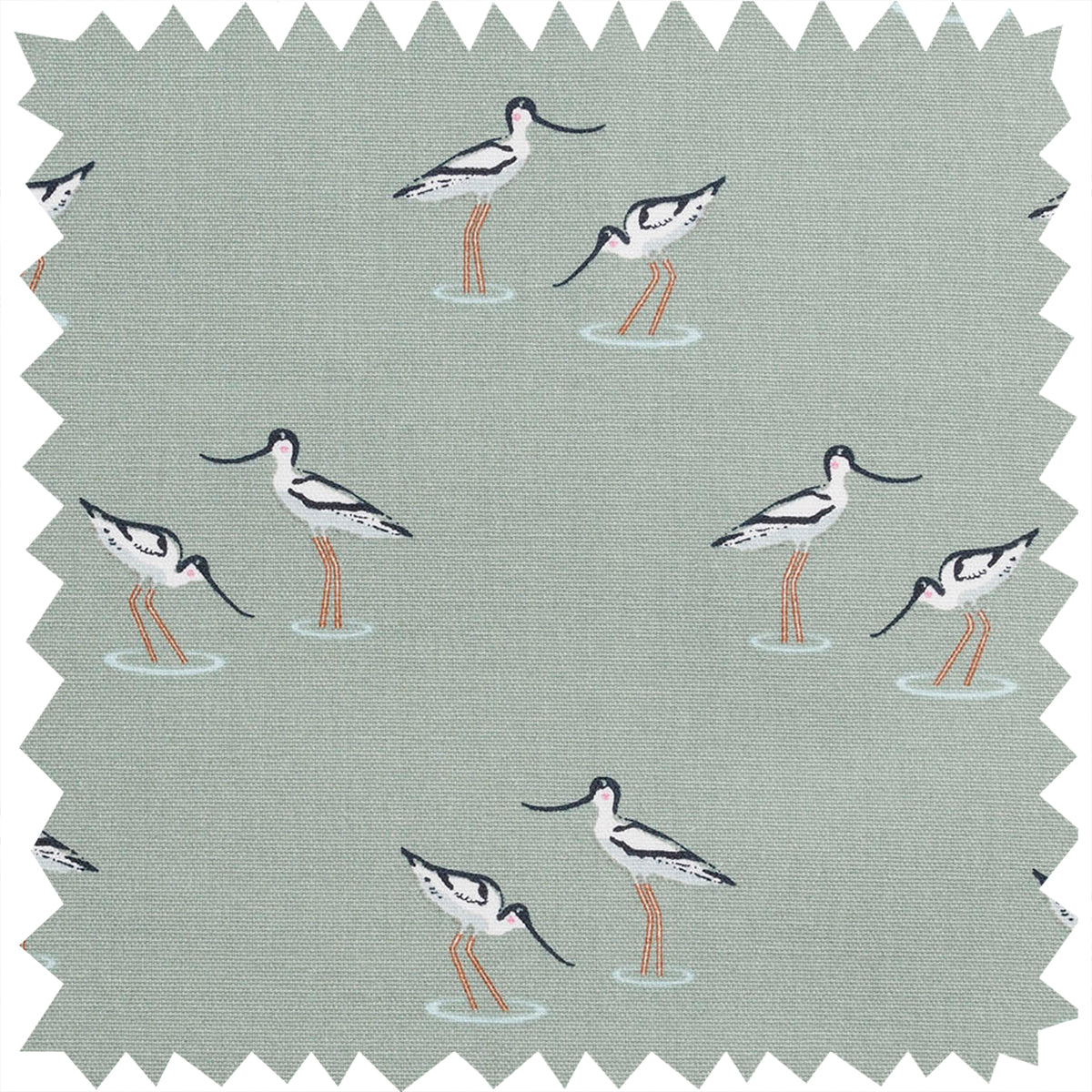 Coastal Birds Fabric Sample by Sophie Allport