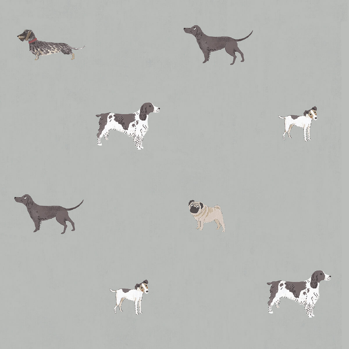 Woof Sage Roller Blind Sample