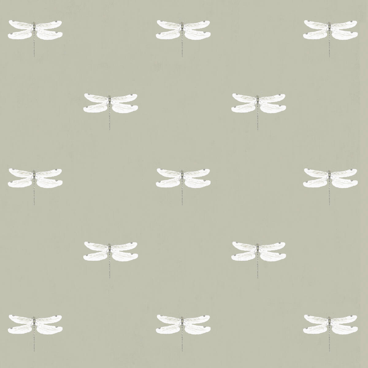 Dragonfly Sand Roller Blind Sample