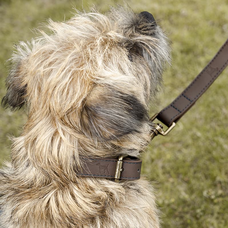 Woof Leather Dog Lead