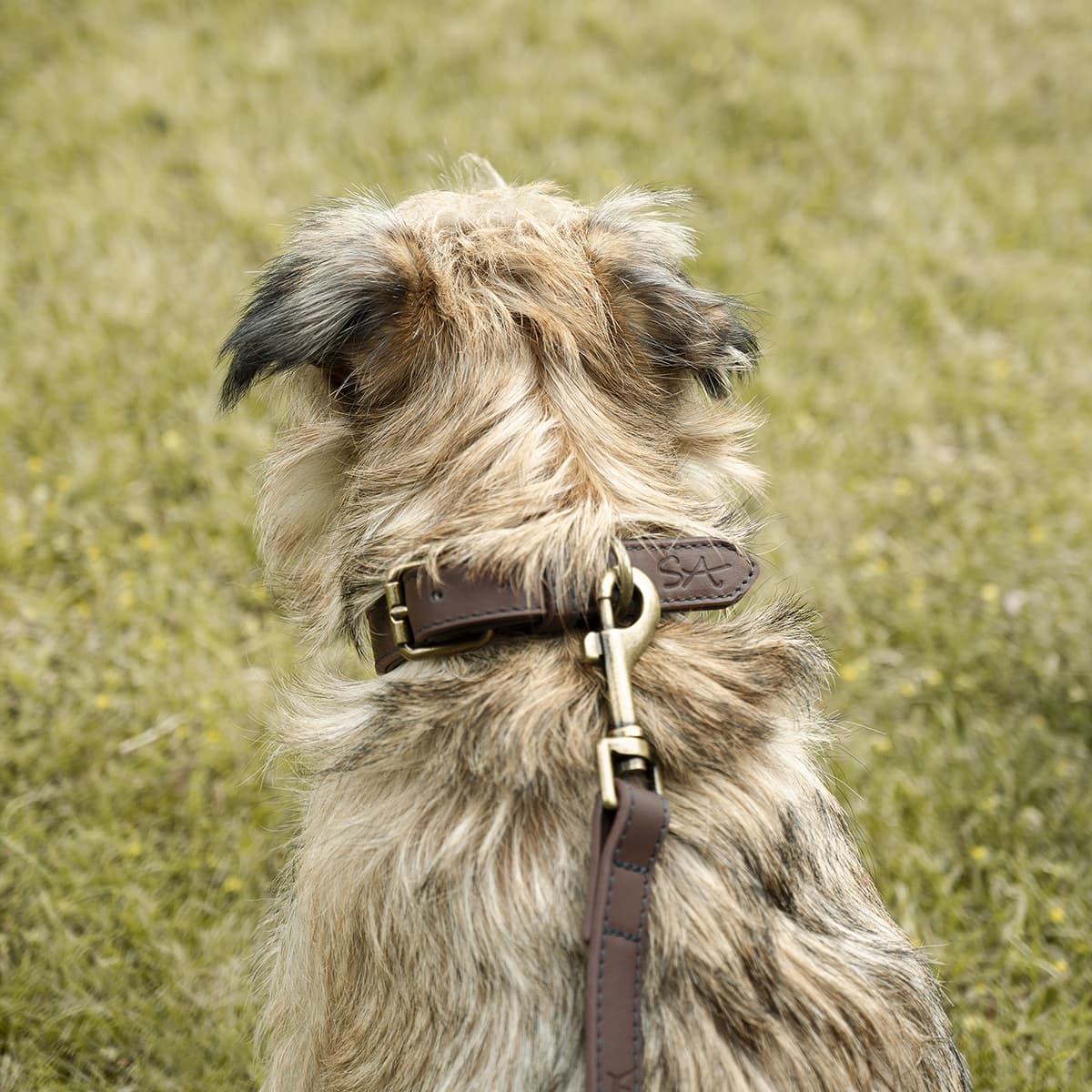 Woof Leather Dog Lead